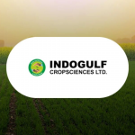 Solarium Green Energy Ltd. logo